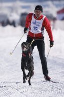 Lenk 2013